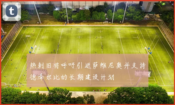 热刺旧将呼吁引进萨维尼奥并支持德泽尔比的长期建设计划