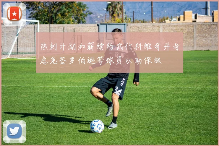 热刺计划加薪续约武什科维奇并考虑免签罗伯逊等球员以助保级