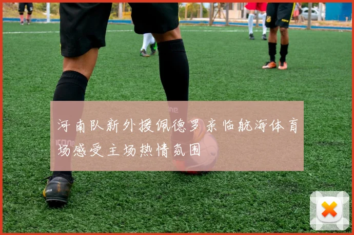 河南队新外援佩德罗亲临航海体育场感受主场热情氛围